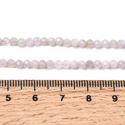 Natural Kunzite Beads Strands G-G343-B03-3mm-1