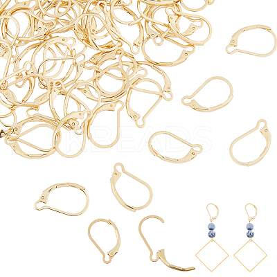 100Pcs 304 Stainless Steel Leverback Earring Findings STAS-HS0001-22-1