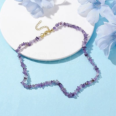 Natural Amethyst Chip Beaded Necklace NJEW-JN04616-06-1