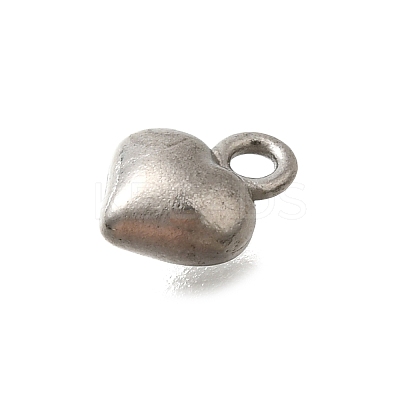 304 Stainless Steel Charms LS-STAS-D310-06P-03-1