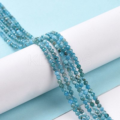 Natural Apatite Beads Strands LS-G-E411-36-2mm-01-1