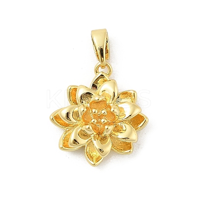 Brass Pendants KK-E791-11G-1