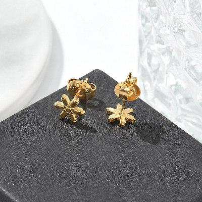 304 Stainless Steel Stud Earrings for Women STAS-Z117-14G-04-1