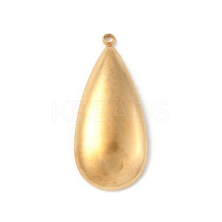 304 Stainless Steel Pendants STAS-P388-03G-1