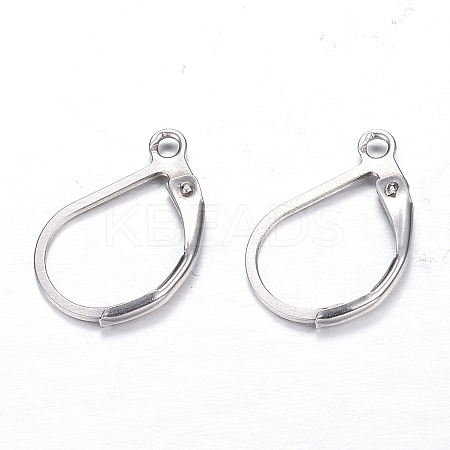 Tarnish Resistant 304 Stainless Steel Leverback Earring Findings LS-X-STAS-M217-03-1