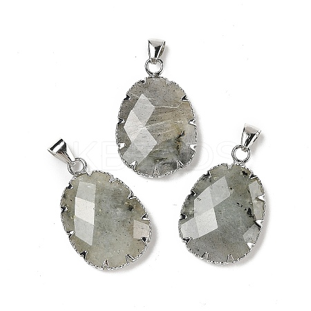 Natural Labradorite Pendants G-H086-01P-05-1