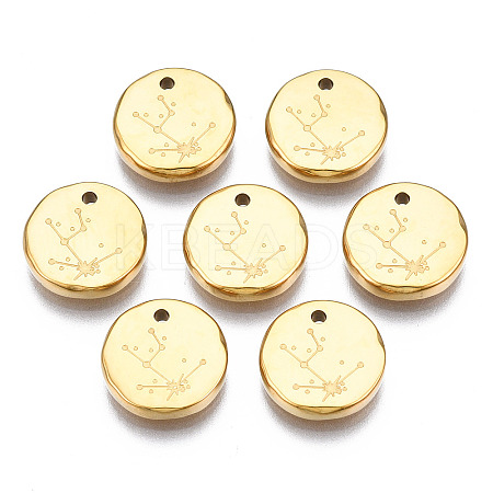 316 Surgical Stainless Steel Charms LS-STAS-S116-418A-G-1