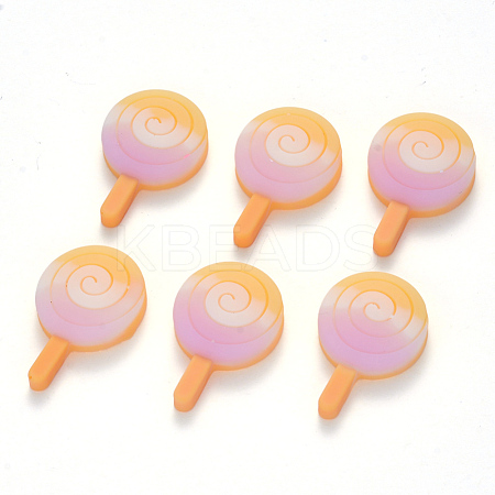 Resin Decoden Cabochons CRES-R0194-06A-1