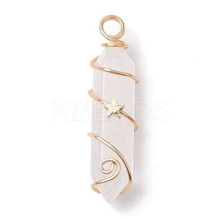 Natural Quartz Crystal Double Terminal Pointed Pendants PALLOY-JF02672-05-1