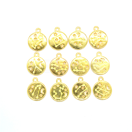 12Pcs Zodiac Sign Charm Pendants 12 Constellation Charm Pendant Alloy Charm for Jewelry Necklace Earring Making Crafts FIND-SZC0010-587-1