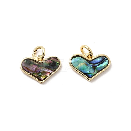 Epoxy Resin & Natural Paua Shell Heart Charms KK-K384-19B-G-1