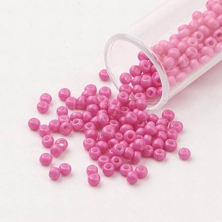 11/0 Grade A Baking Paint Glass Seed Beads X-SEED-N001-A-1044-1