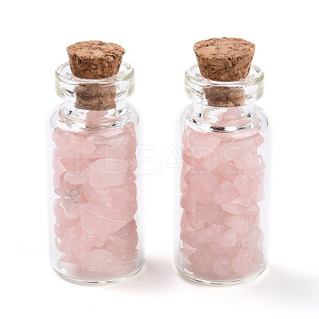Glass Wishing Bottle Display Decorations AJEW-T013-02L-1
