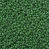 MIYUKI Round Rocailles Beads X-SEED-G007-RR0431-3