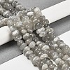 Natural Grey Moonstone Beads Strands G-G053-C10-01-2