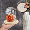 Glass Dome Cover AJEW-WH0752-088B-3