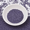 MIYUKI Delica Beads SEED-MY11-DB2293-2