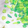 600Pcs 10 Styles Transparent Acrylic Pendants OACR-PA0001-48-7