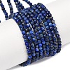 Natural Lapis Lazuli Beads Strands G-E351-09-2