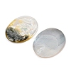 Natural Black Lip Shell Cabochons SSHEL-I026-04B-06-2