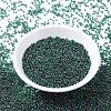 MIYUKI Round Rocailles Beads SEED-G007-RR0289-2