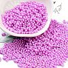 Opaque Colours Glass Seed Beads SEED-A033-06I-1