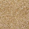 MIYUKI Round Rocailles Beads X-SEED-G008-RR0161-3