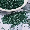 MIYUKI Delica Beads X-SEED-J020-DB1814-1