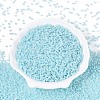 Glass Seed Beads SEED-A011-2mm-154-2