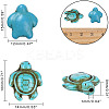 210 Pcs 2 Sizes Synthetic Turquoise Turtle Beads G-NB0001-34-2