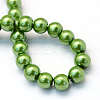 Baking Paint Pearlized Glass Pearl Round Bead Strands X-HY-Q330-8mm-13-4