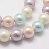 Shell Pearl Bead Strands X-BSHE-L017-10-3