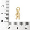 Brass Pave Clear Cubic Zirconia Charms KK-A273-01G-R-3