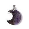 Natural Amethyst Pendants G-Z022-04C-2