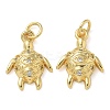 Rack Plating Brass Micro Pave Cubic Zirconia Pendants KK-K392-20B-G-1