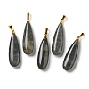 Natural Labradorite Pendants G-Q192-07G-06-1