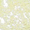 Transparent Colours Glass Seed Beads SEED-H003-01N-3