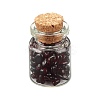 Transparent Glass Wishing Bottle Decoration DJEW-A001-01A-01-1