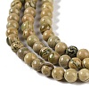 Natural Verdite Stone Beads Strands G-P530-B07-01-4