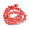 Natural Magnesite Beads Strands TURQ-P001-02A-10-2