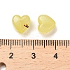 Imitation Jelly Acrylic Beads MACR-XCP0001-24-3