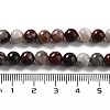 Natural Mexican Red Laguna Lace Agate Round Beads Strands G-NH0005-A31-01-5