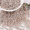MIYUKI Round Rocailles Beads X-SEED-G008-RR0579-1