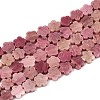 Natural Rhodonite Beads Strands G-N257-24A-09-2