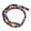 Natural Petrified Wood Beads Strands G-C259-A28-5x8mm-3