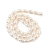 Natural Cultured Freshwater Pearl Beads Strands PEAR-I007-01B-01B-3
