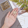 300pcs 3 Colors Brass Ball Head Pins KK-AR0002-16-3
