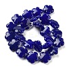 Natural Lapis Lazuli Beads Strands G-F769-Q01-01-3