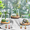 21Pcs 7 Style Resin Mini Cactus Bonsai Display Decorations AJEW-CP0005-41-5