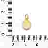 Brass & Natural Shell Flat Round Charms KK-D431-025A-01G-3